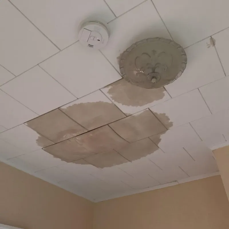 Ceiling Water Damage Repair in South Boston, MA