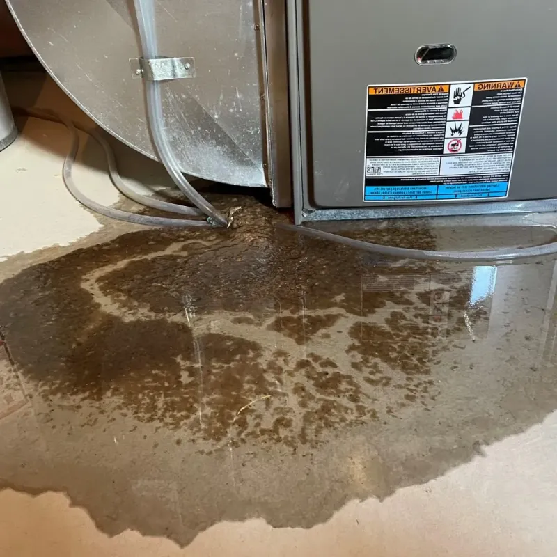 Pipe Burst and Leak Restoration in South Boston, MA